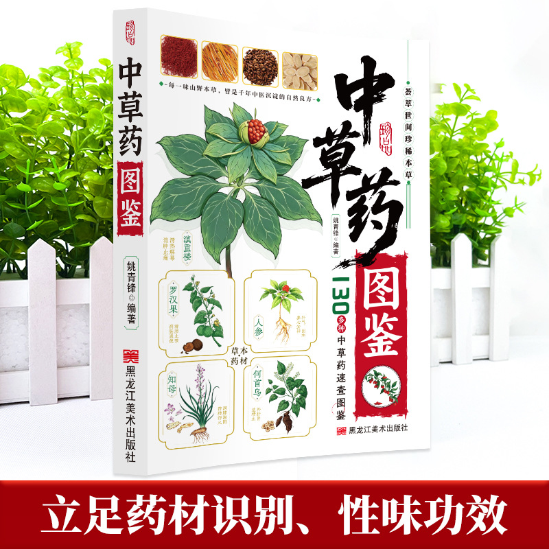 Guida Illustrata alla Medicina - Herbal Wellness Guide recensione e prezzo