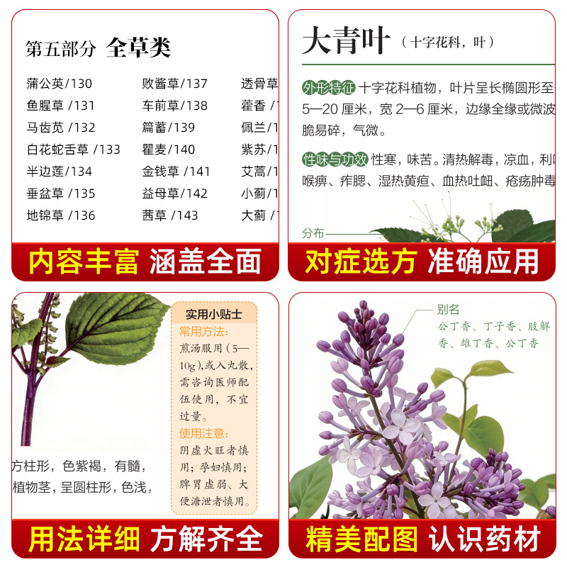 Guida Illustrata alla Medicina - Herbal Wellness Guide recensione e prezzo